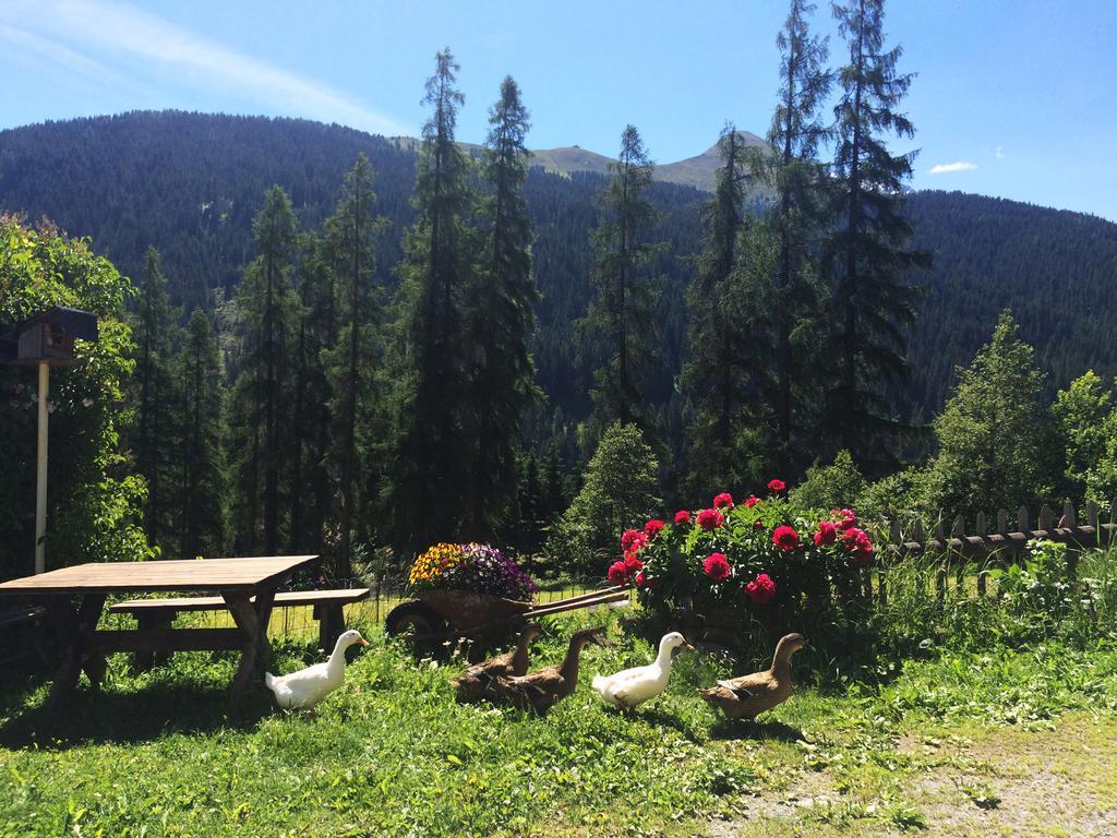 Bnb Guesthouse Lusi Frauenkirch Luaran gambar