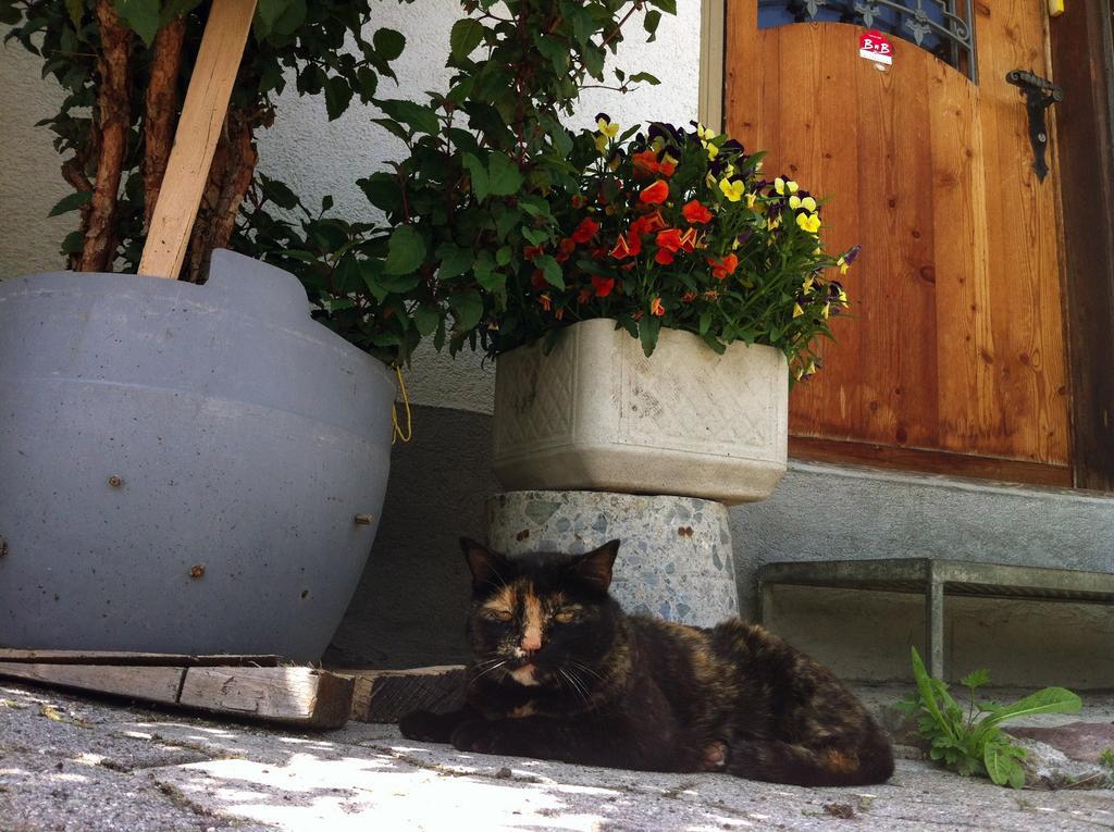 Bnb Guesthouse Lusi Frauenkirch Luaran gambar